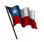 Chilean Flag 7